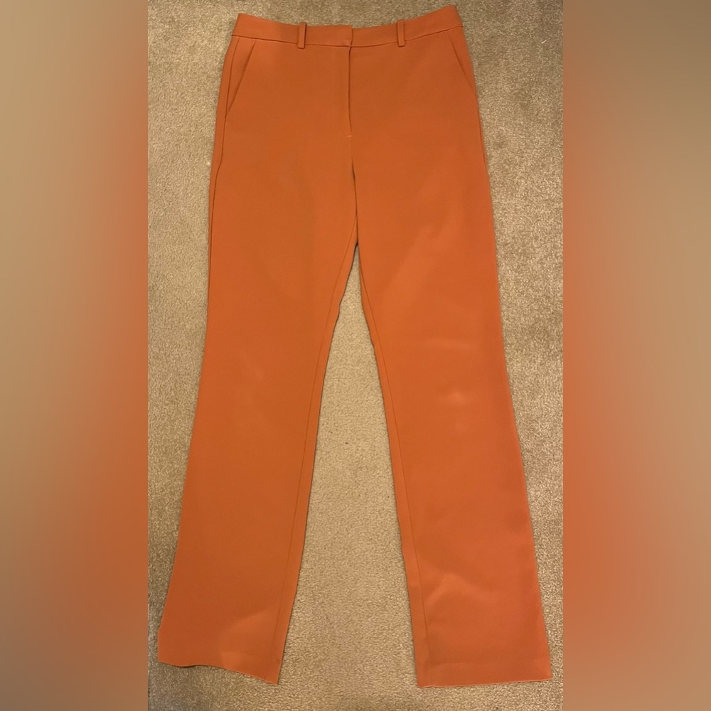 Aritzia Babaton trousers